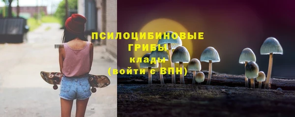 МДПВ Алзамай