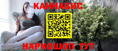 мдпв Пенза