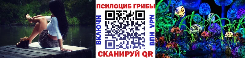купить закладку  Южно-Сахалинск  Псилоцибиновые грибы MAGIC MUSHROOMS 