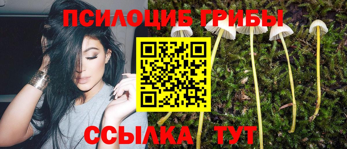 Псилоцибиновые грибы MAGIC MUSHROOMS Южно-Сахалинск